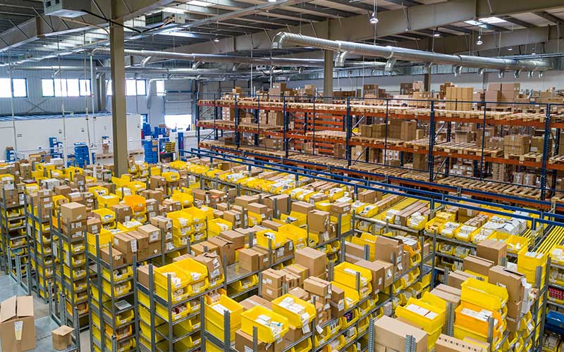 Protéger vos Stocks : L'Importance de la Dératisation en Entrepôt et Industrie à Rabat