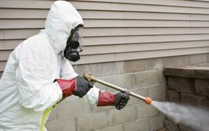 شركة رش مبيدات بالرباط