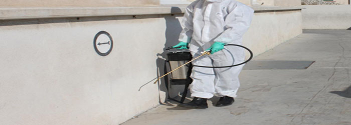 Désinfection à Rabat