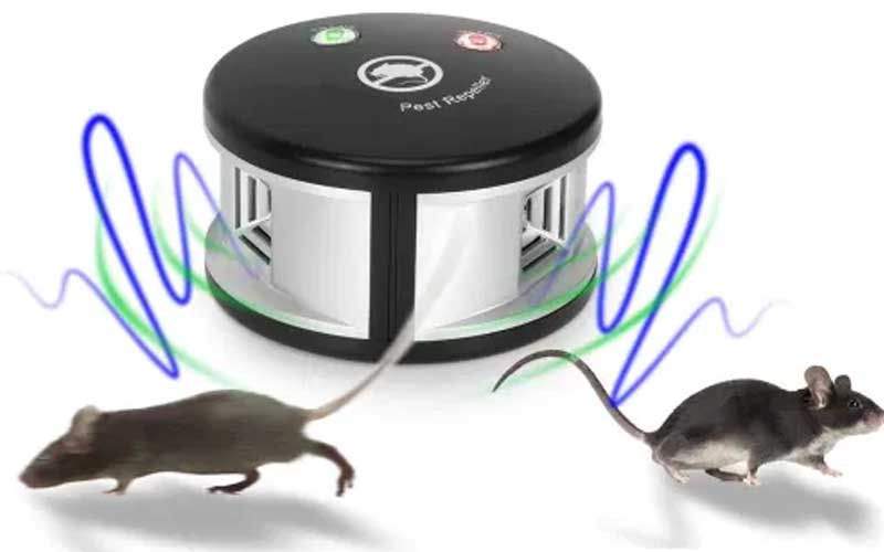 أجهزة طرد الفئران الكهربائية مقابل السموم أيهما الأفضل لمناخ المغرب؟