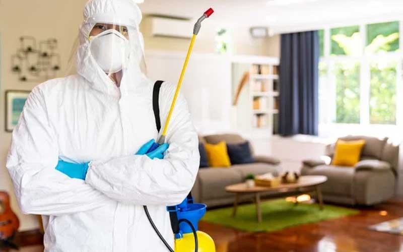 معايير اختيار شركة مكافحة حشرات موثوقة في الرباط